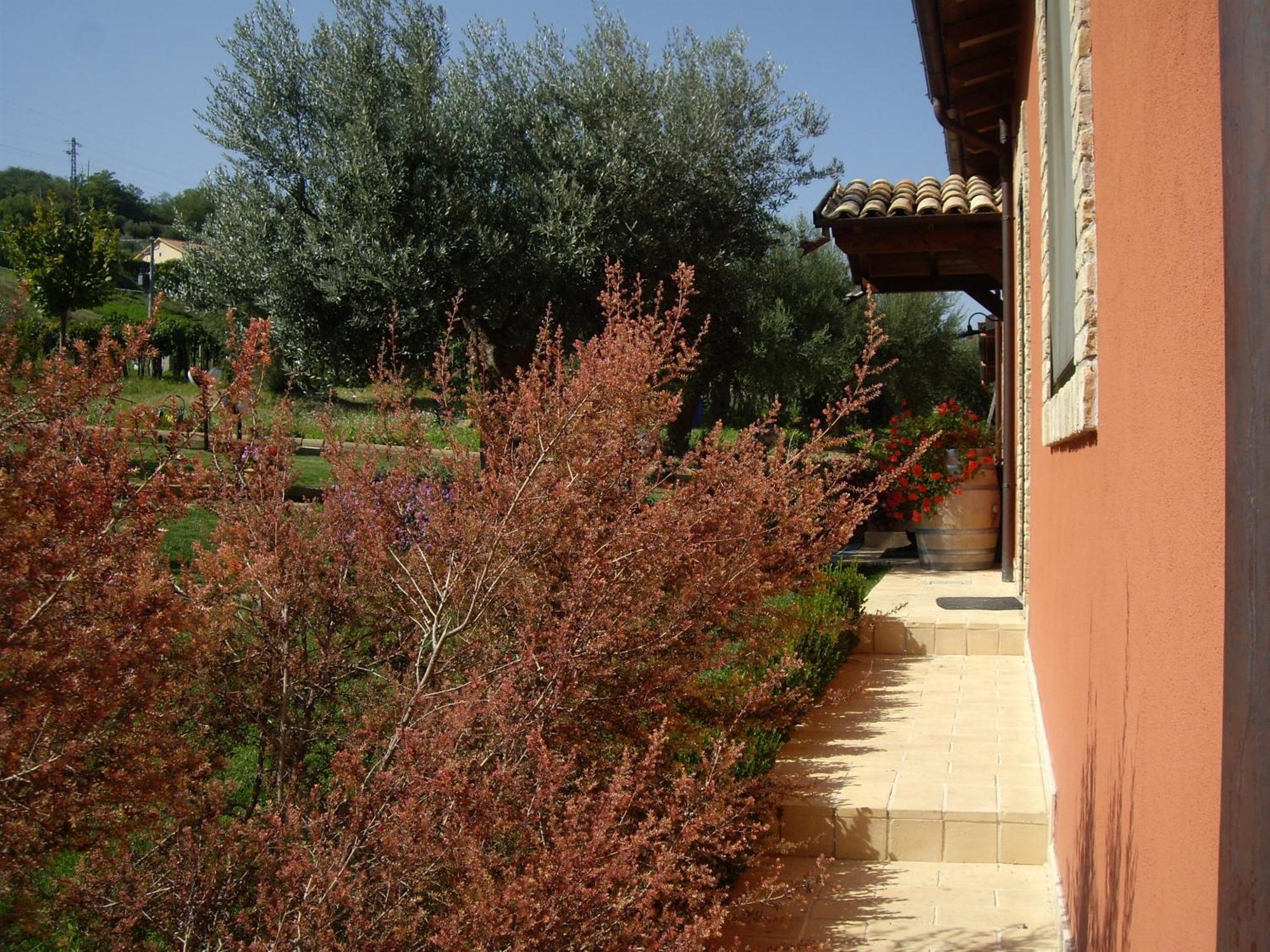Agriturismo Il Borgo Degli Ulivi Roseto Degli Abruzzi Exterior foto
