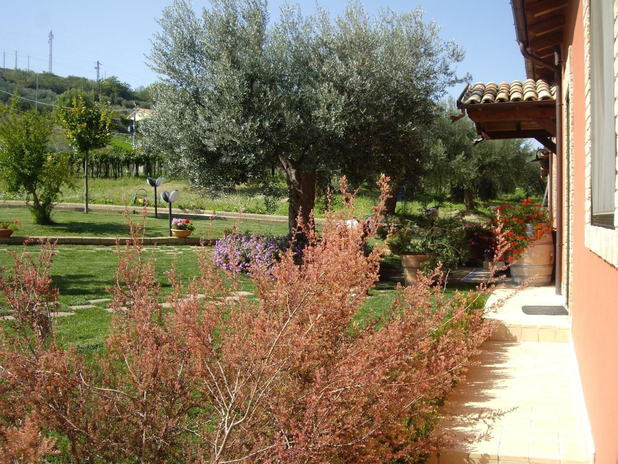Agriturismo Il Borgo Degli Ulivi Roseto Degli Abruzzi Exterior foto