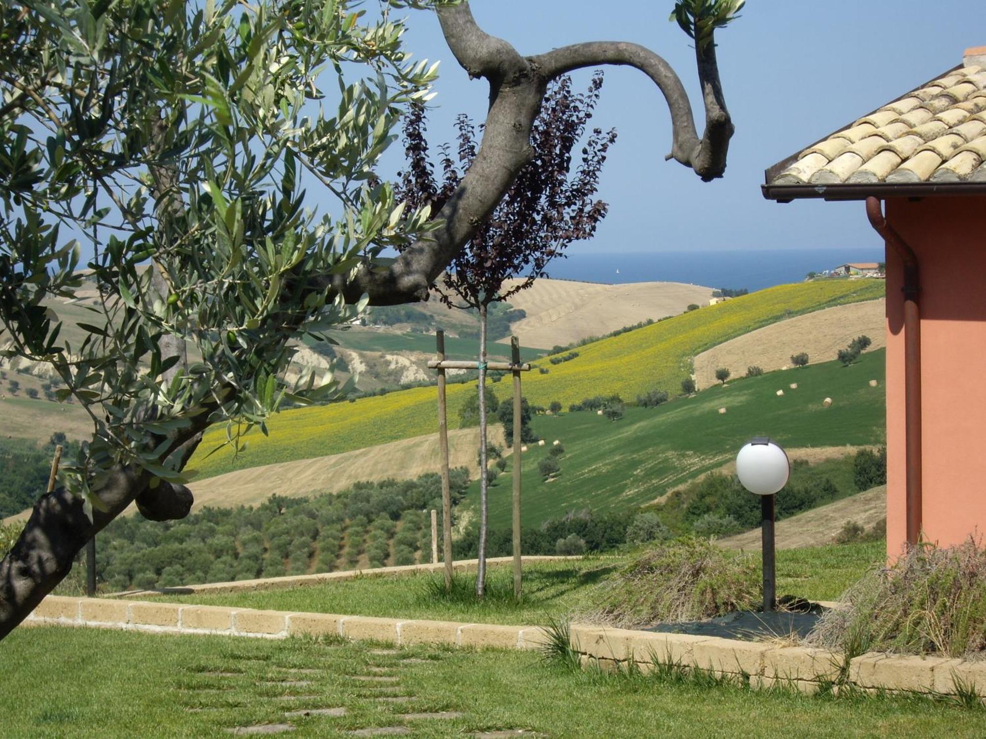 Agriturismo Il Borgo Degli Ulivi Roseto Degli Abruzzi Exterior foto